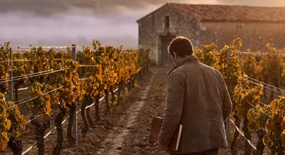 Quiet Passages Through the Vines: An Insider’s Vineyard Companion