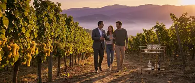 Latitude, Light, and Legacy: Elevating the Art of Vineyard Visits