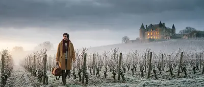 Quiet Seasons, Hidden Pleasures: Vineyard Visits for the Discerning Traveler