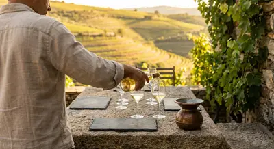 Curated Vines: Inside the Art of the Discerning Vineyard Visit